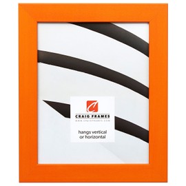 Craig Frames 26028 16 by 20-Inch Picture Frame, Smooth Wrap Finish, 1.26-Inch Wide, Orange