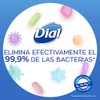 Dial Repuesto de jabon liquido para manos, minerales rosados, 450