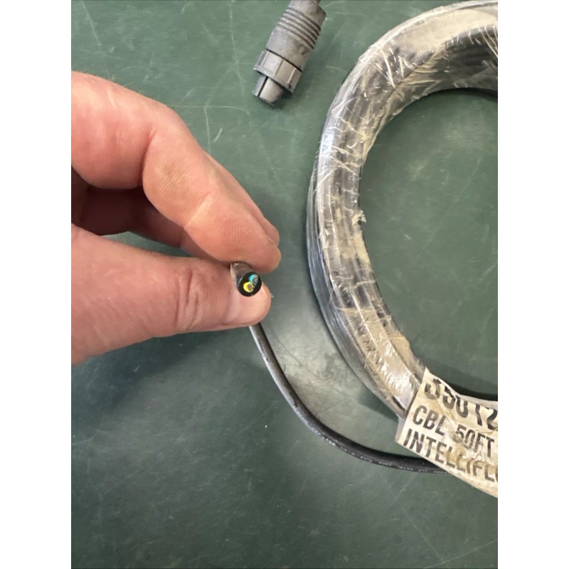 Pentair Genuine Pentair 350122 IntelliFlo Variable Speed Pump 50 ft