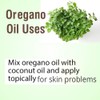 Crysalis Oregano (Origanum vulgare) Essential Oil | Skin Brightening, Hair