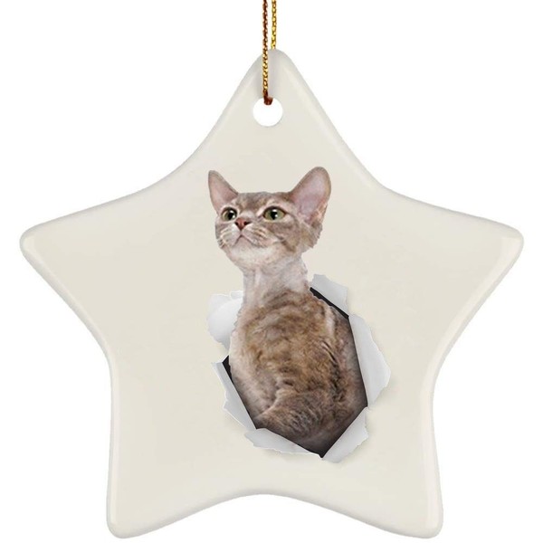 Funny Devon Rex Cat Tabby Coming Out of Cracked Wall