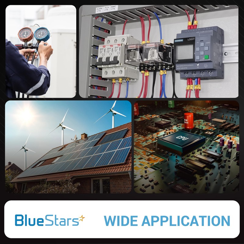 BlueStars SSR-25AA Solid State Relay AC 80–250V Input, AC 24–380V
