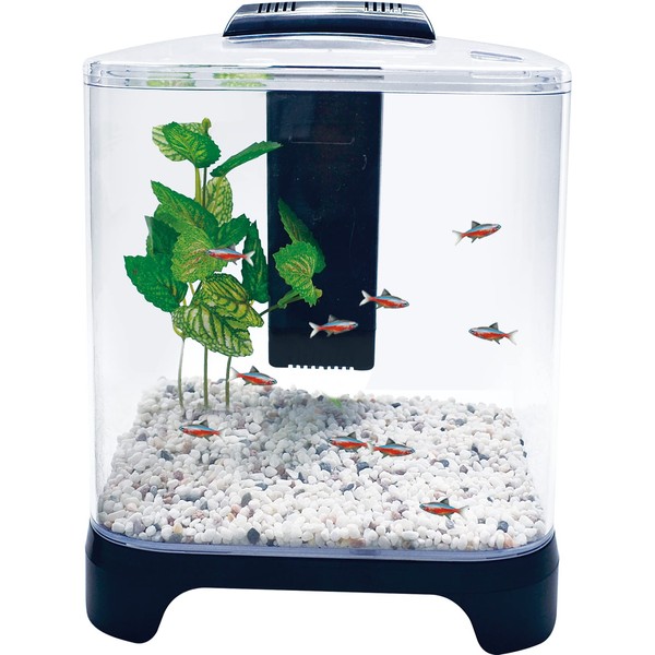 PENN-PLAX NuWave Betta Fish Tank Kit with LED Light and