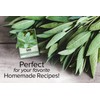 Gardeners Basics, Sage Seeds for Planting Heirloom, Non-GMO Herb Variety-