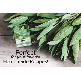 Gardeners Basics, Sage Seeds for Planting Heirloom, Non-GMO Herb Variety- Great for Indoor and Outdoor Gardening