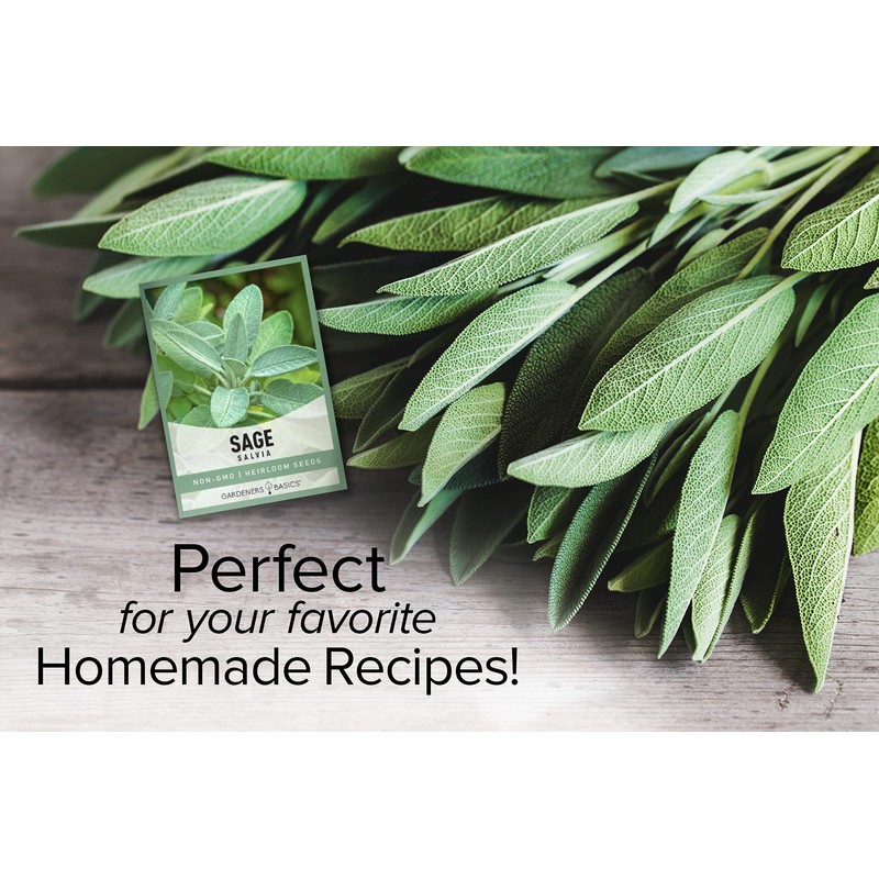 Gardeners Basics, Sage Seeds for Planting Heirloom, Non-GMO Herb Variety-