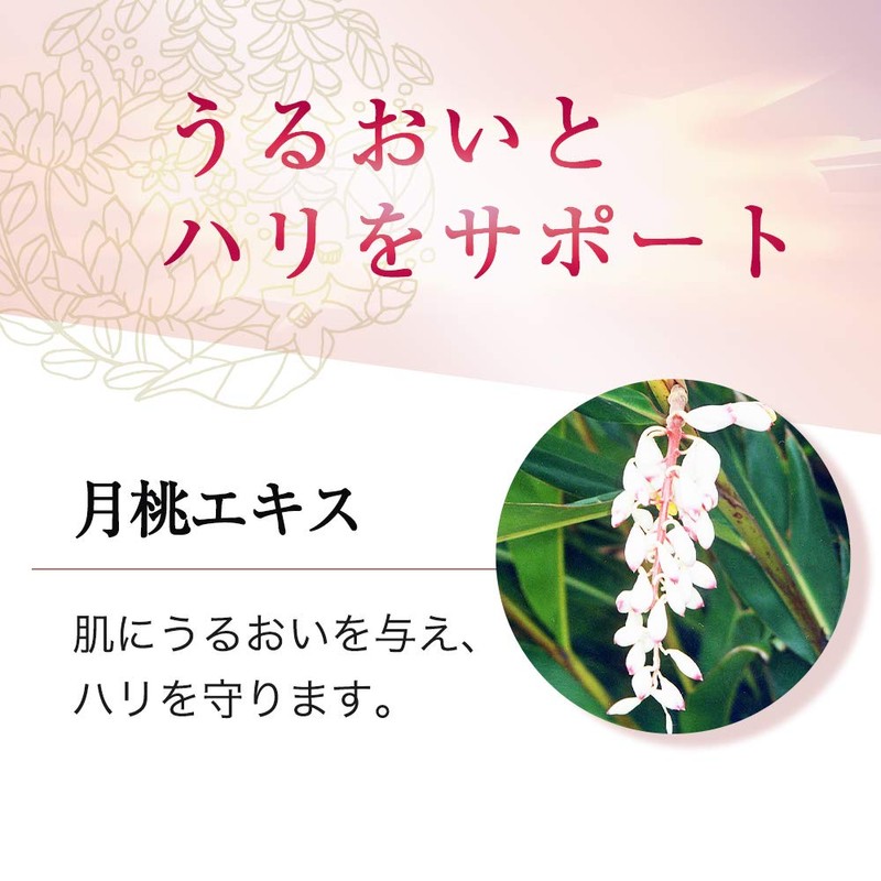 Bee Make Up rimeikukonpakutorifi-ru (Powder Foundation) G * Puff with