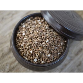 McCabe Organic Brown Rice Tea - Roasted Brown Rice Tea Korean | Rich in Fibers and Minerals | USDA and CCOF Certified Organic | Product of USA | 2 Lbs (32 Oz) Pack of 2