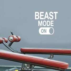 Beast Mode Motivational Gym Wall Art Decal Quote - 22" x 22" Decoration Vinyl Sticker (White)