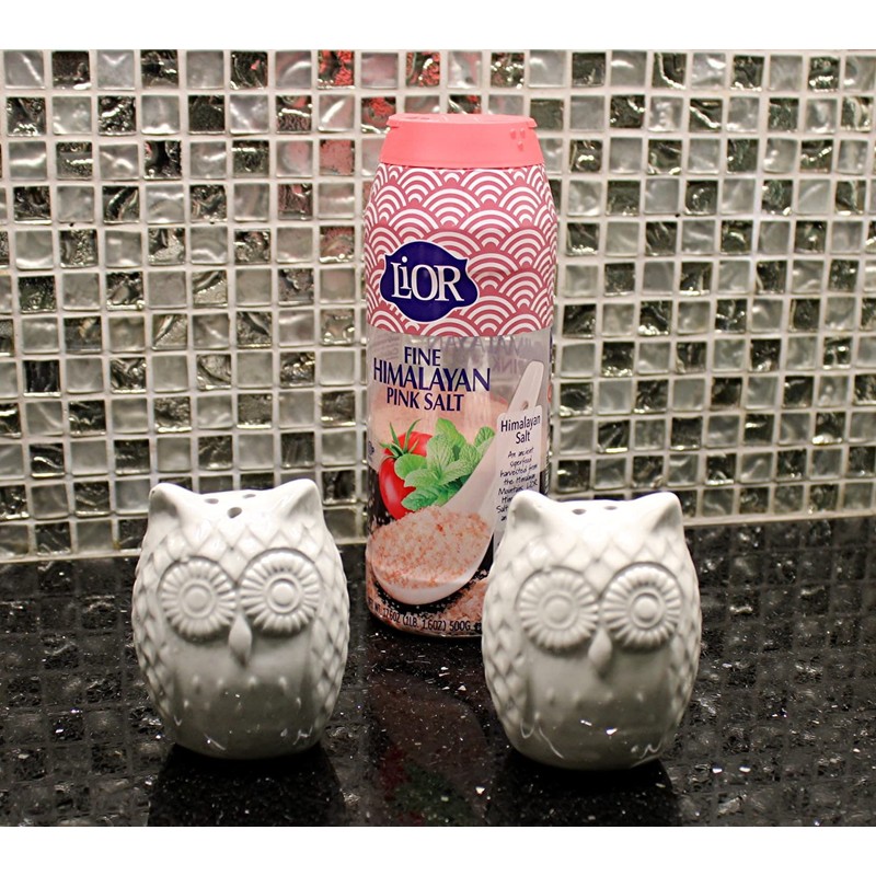 Retro Style Owl Shape Salt & Pepper Shaker Set Kitchen