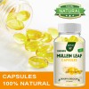 3 Bottles Mullein Leaf Capsules Lung Cleanse Detox Herbal Dietary
