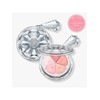 Choose 1 of 4 types of Bloom Mix Blush Compact