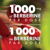 Preferred Nutrition® Berberine MAXIMUM POTENCY 1000 mg per Serving (2