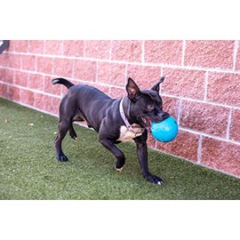 Jolly Pets Jolly Pets 8" Soccer Ball, Ocean Blue, Large/X-Large