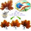 AncBace Fish Leaf Pad Betta Leaf Hammocks with Suction Cup