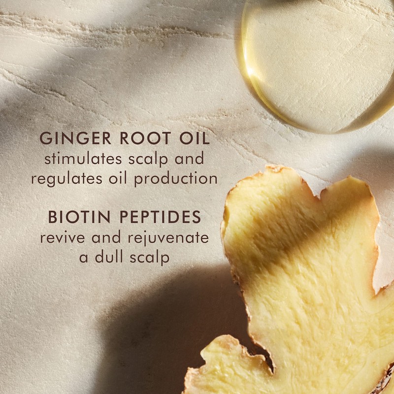 Moroccanoil Treatment for Oily Scalp, 45 ml