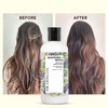 THE LIVING CO Soothing Conditioner With Grapeseed + Methi For
