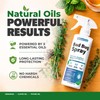 NatureStop Bed Bug Spray (16 oz)