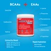 RSP NUTRITION RSP AminoLean Recovery - Post Workout BCAAs Amino