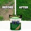 GreenView Pure Grass Seed Sun & Shade Mixture, 7 lb.