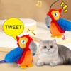 CHOOSE-IT Cat Toy Realistic Flapping Wings Interactive Bird Toy for