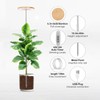 LBW Plant Grow Light Bamboo Plants Grow Lights for Indoor