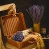 Jutom 12 Pack Total 2280 Stems Dried Lavender Bundle Bulk