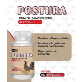POSTURA HEN POULTRY BONE AND EGG BUILDER 100 CAP SUPLEMENTO PARA GALLINAS HUEVOS