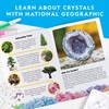 NATIONAL GEOGRAPHIC Craft Kits for Kids - Crystal Growing Kit