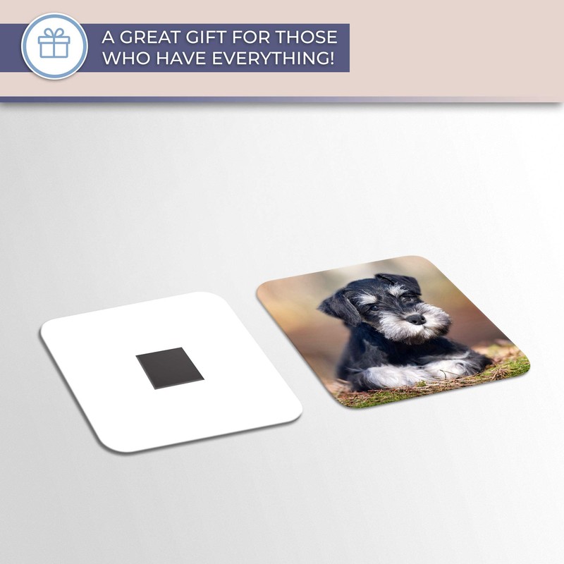 Destination Vinyl ltd Fridge Magnet - Miniature Schnauzer Dog Puppy