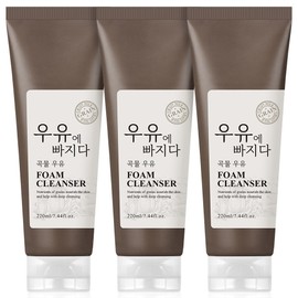 2+1 Fall in love with milk Grain milk green tea milk foam cleansing 220ml large capacity 3 packs / 2+1우유에 빠지다 곡물우유녹차우유 폼클렌징 220ml 대용량 3개