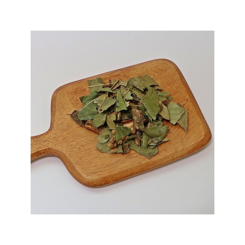다온약초 국내산 비파엽 비파나무 비파잎 300g Daon Herbal Domestic Loquat
