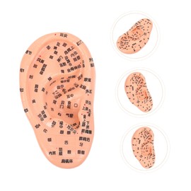 PACKOVE 1Pc Realistic Ear Acupuncture Model for Ear Massage Detailed Acupressure Reference for Anatomy Healing for Medical Students and Acupuncturists