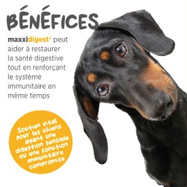 maxxipaws maxxidigest+ Probiotic & Prebiotic Powder Supplement - Digestive & Immune Support for Dogs, 200g