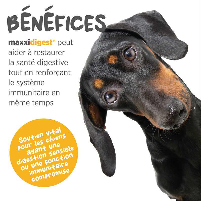 maxxipaws maxxidigest+ Probiotic & Prebiotic Powder Supplement - Digestive &