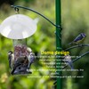 Bird Feeders Protective Cover Prevent Squirrel Clear Bird Feeder Protective