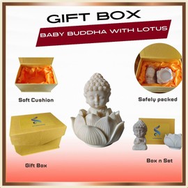 Estorefusion Baby Buddha Statue Set with Lotus Base, Durable Resin Construction, Home Decor, Spiritual and Meditation Companion, BBAMLR01