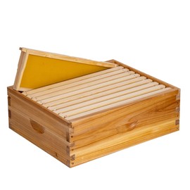 BeeCastle 10 Frame Assembled Medium Honey Super Bee Hive Box with Beehive Frames ＆ Beeswax Coated Foundation Sheets