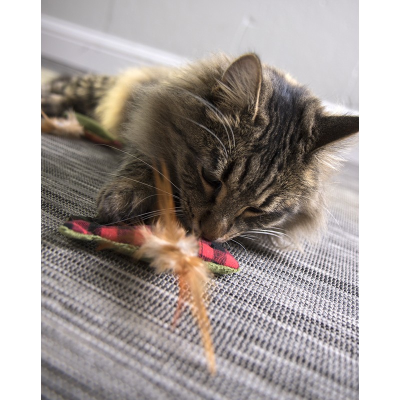 SmartyKat (3 Count Fish Friends Crinkle Catnip Cat Toys -