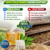 NHAT ANH FARM - Premium Bay Leaf Tea Bags, 40