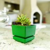 Cubiark Garden 6 Inch Square Planter Pot, with Saucer Tray