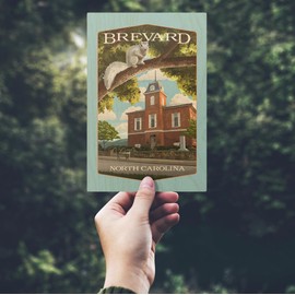 Brevard, North Carolina, Courthouse and White Squirrel, (4x6 Birch Wood Postcards, 2-Pack Stationary, Rustic Home Wall Decor)
