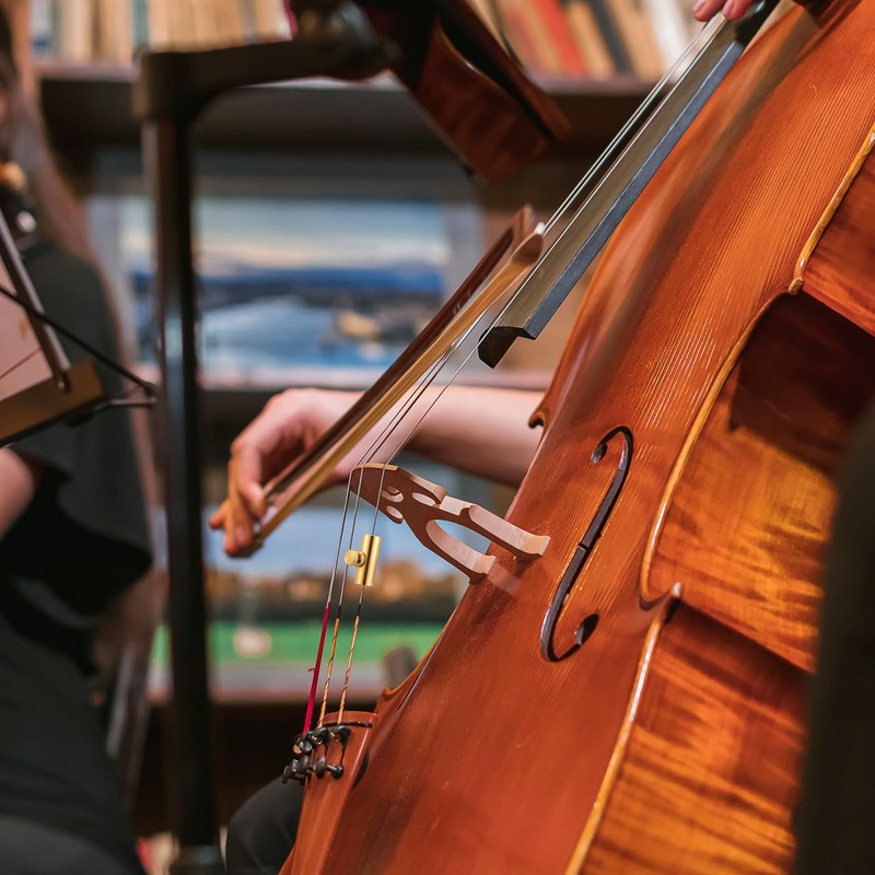 VICASKY Cello Wolf Tuner Wolfston Eliminate Cello Accessories Guitar Tuner