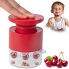 Cherry Pitter Multiple, Quick Release Multi Cherries Stoner Pitter 7-in-1,