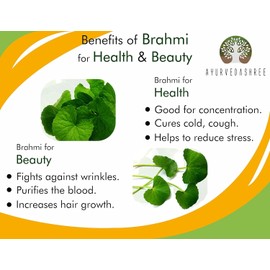 AYURVEDASHREE Centella asiatica Powder 100 Gm I Known as Gotu Kola, brahmi I Mandupakarni Powder I Non GMO I Gluten Free I Vegan