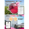 &WELL アクティブ ビーツ 残留農薬検査実施済 着色料・保存料 無添加 タブレット 186粒(1)