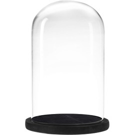 Glass Cloche Bell Jar with Wooden Base, 6 inch Diameter x 10 inch Height, Display Dome Cover for Plants and Decor (Black Base)