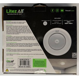 LitezAll Motion Activated Flush Mount Light (26390-07BC01)
