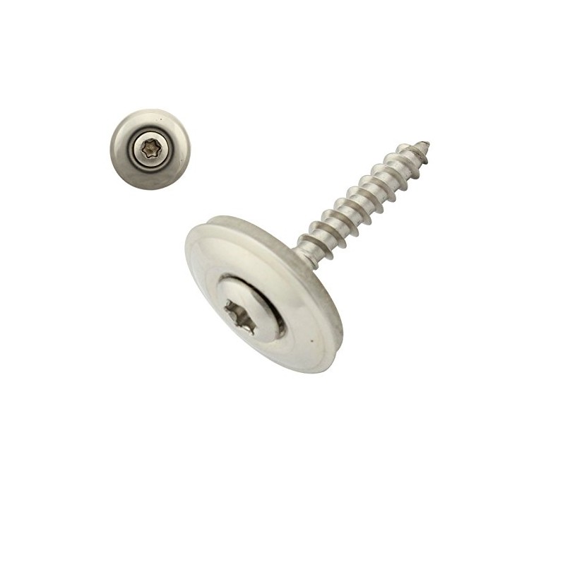 Pack of 100 Spengler Screws with Sealing Washer 20 mm