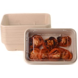 EcoQuality 29oz Compostable Eco Friendly Container trays with Lids - Rectangular Oblong Tree Free Sugarcane Bagasse Meal Prep Bento Boxes Take Out Catering Microwavable Deep Container (50)